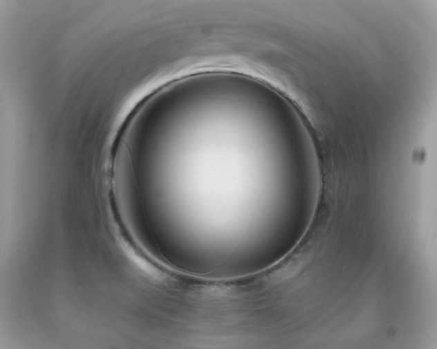 X0000092021519200709061543