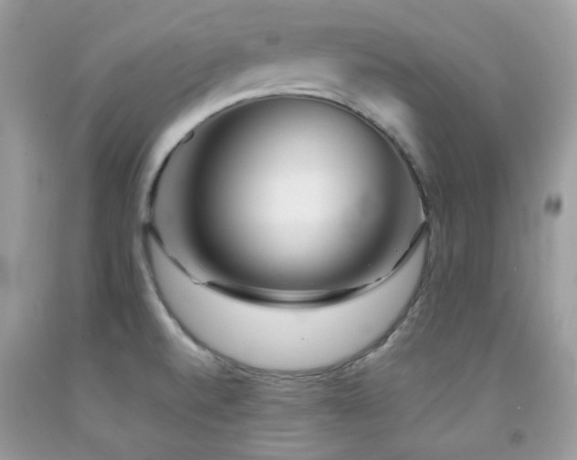 X0000092021520200709061543