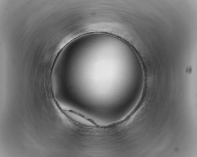 X0000092021521200709061543