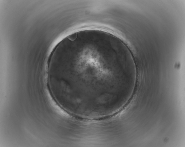 X0000092021522200709061543