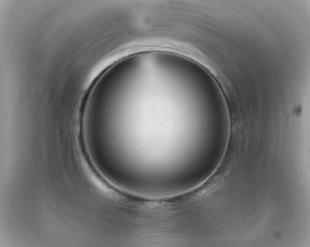 X0000092021523200709061543