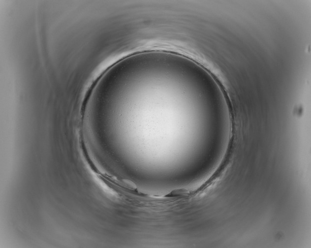X0000092021525200709061543