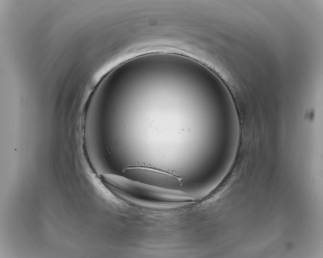 X0000092021526200709061543