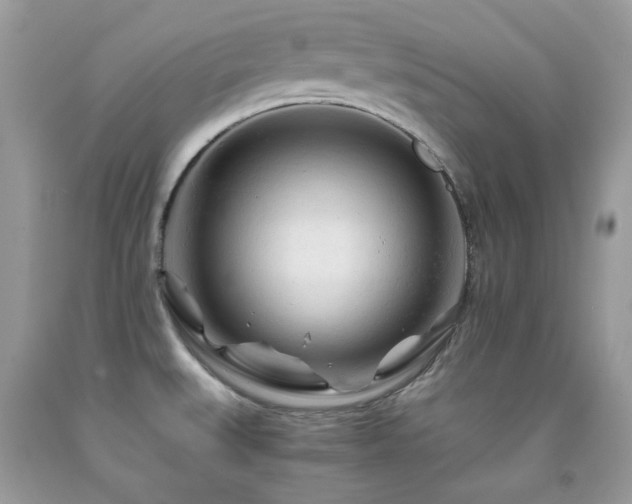 X0000092021527200709061543