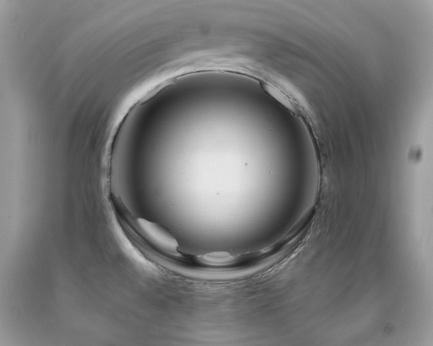 X0000092021528200709061543