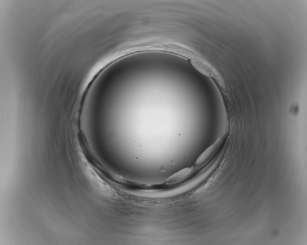 X0000092021530200709061543