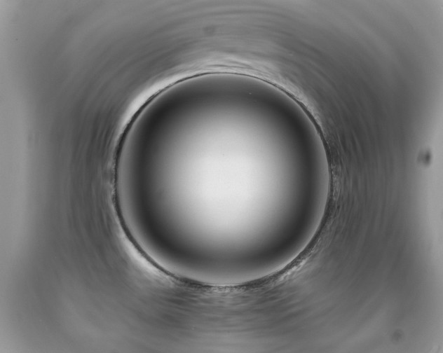 X0000092021531200709061543