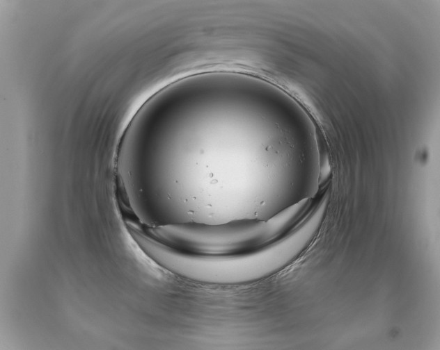 X0000092021532200709061543