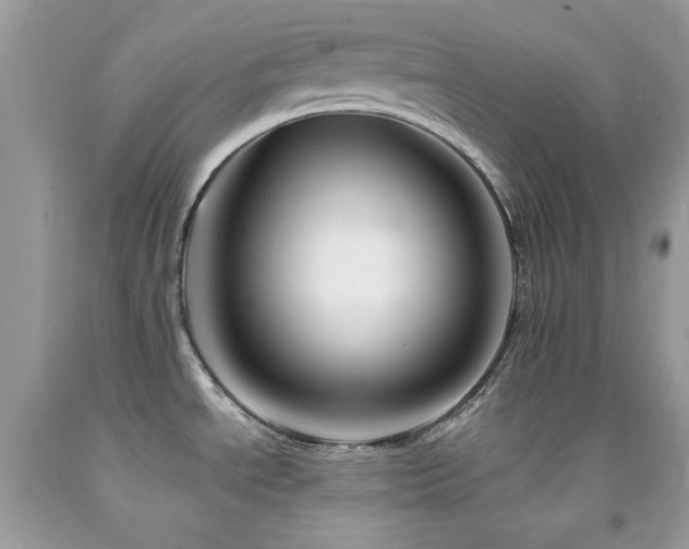 X0000092021534200709061543