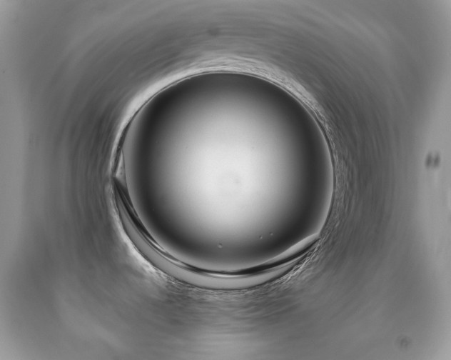 X0000092021536200709061543