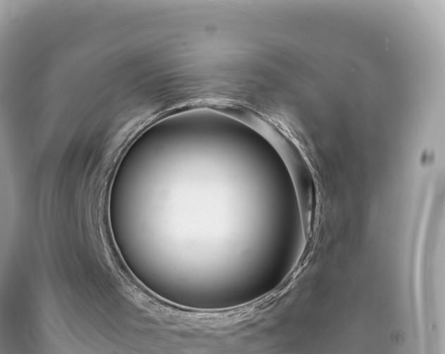 X0000092020001200709131608