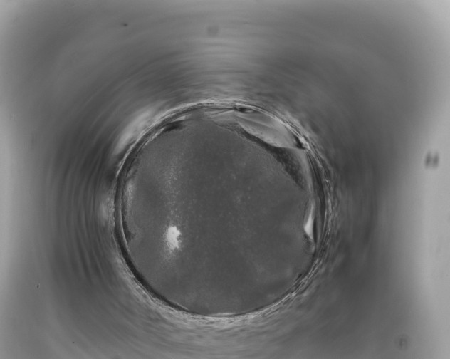 X0000092020002200709131608