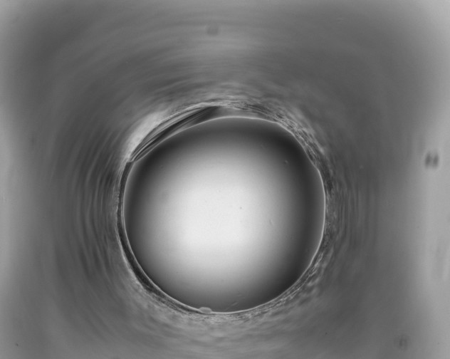 X0000092020003200709131608