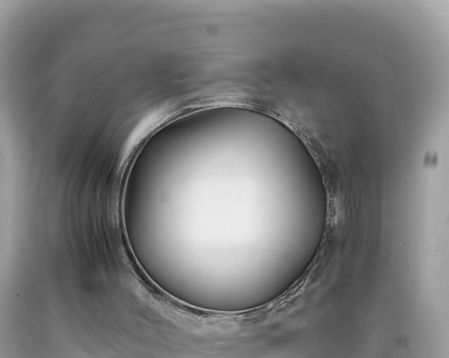 X0000092020004200709131608