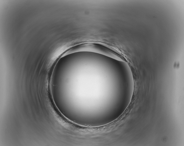 X0000092020005200709131608