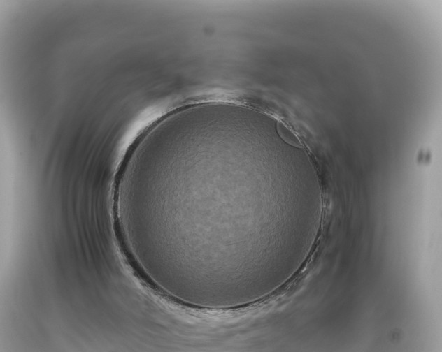 X0000092020006200709131608