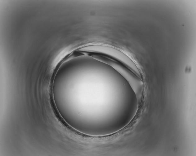 X0000092020007200709131608