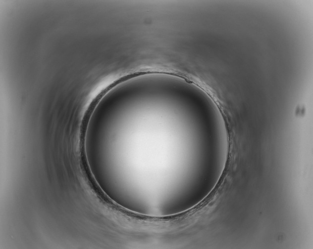 X0000092020008200709131608