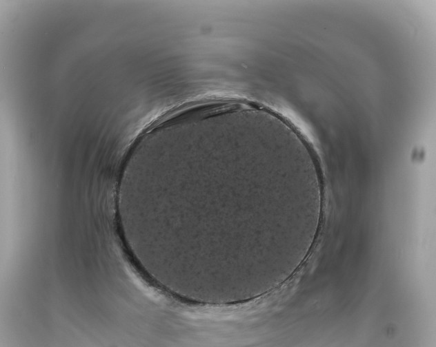 X0000092020009200709131607