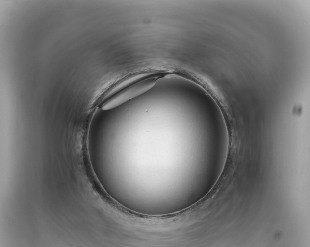 X0000092020010200709131607