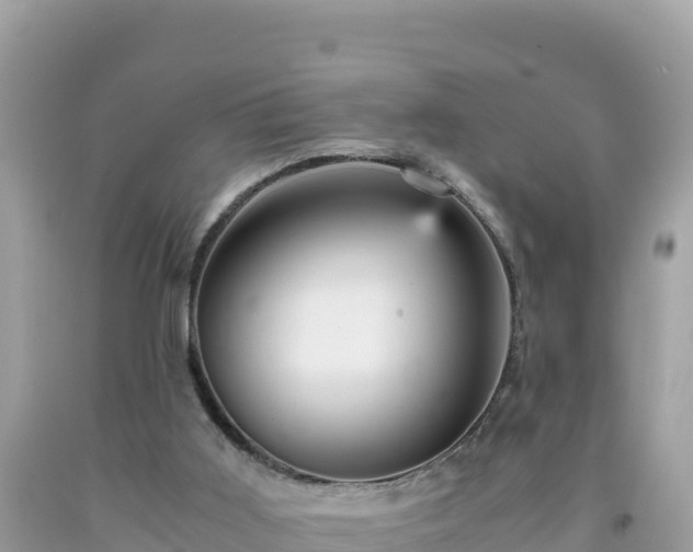 X0000092020011200709131607