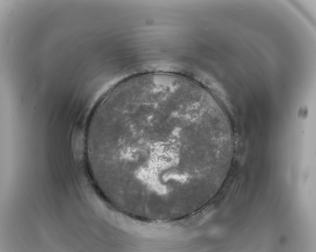 X0000092020012200709131607