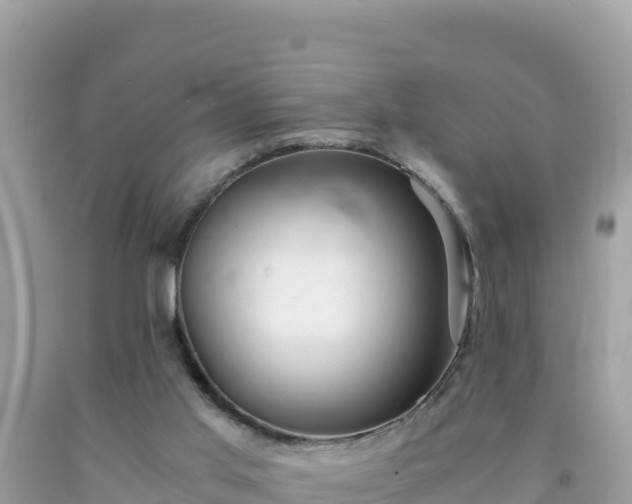 X0000092020013200709131607