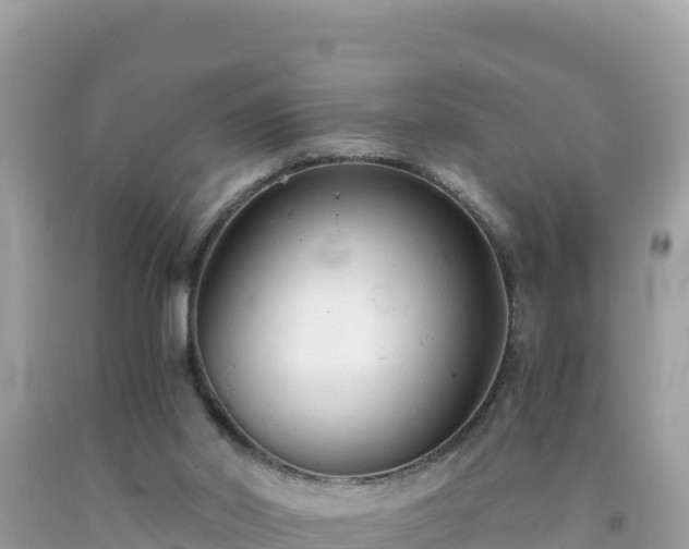 X0000092020014200709131607