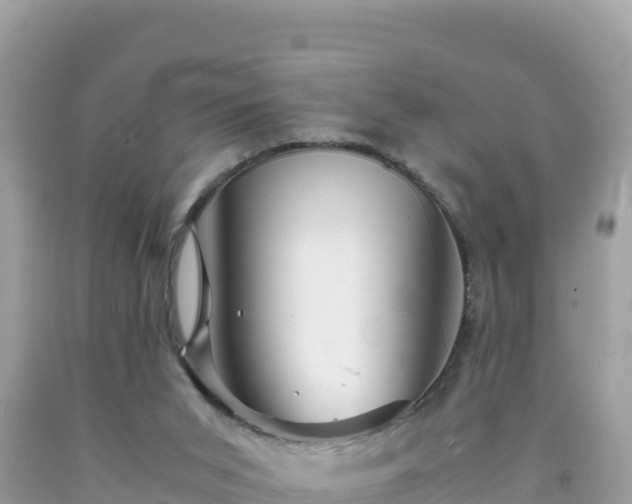 X0000092020015200709131607