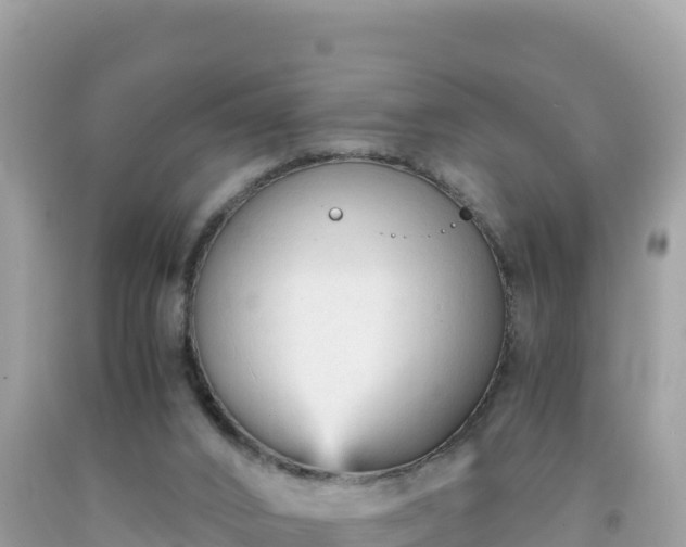 X0000092020016200709131607