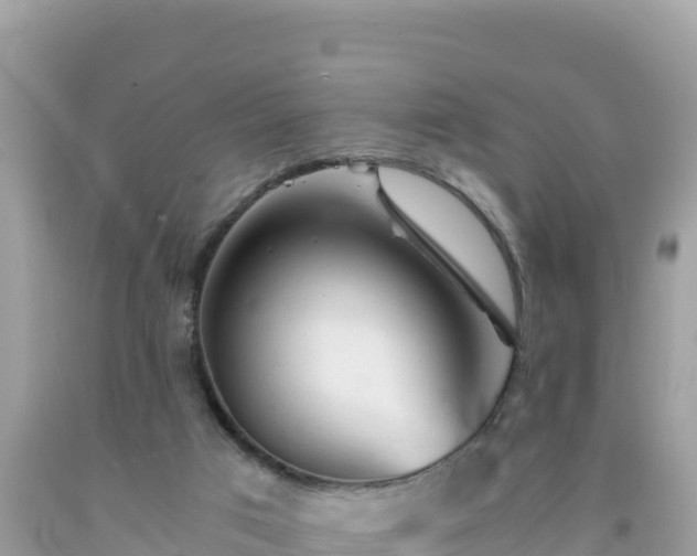 X0000092020017200709131607