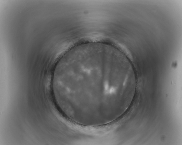 X0000092020018200709131607