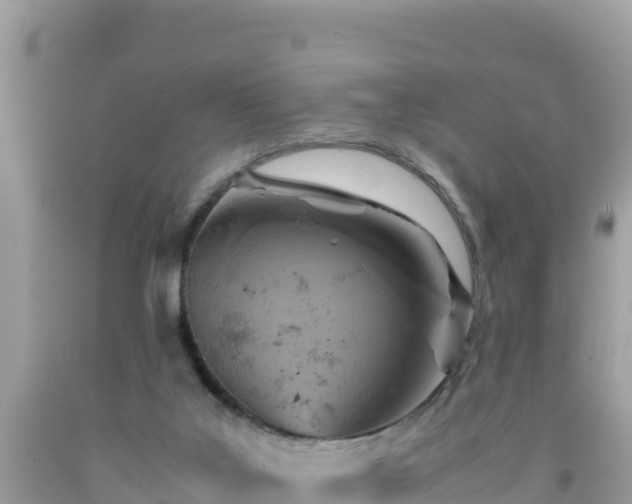 X0000092020019200709131607