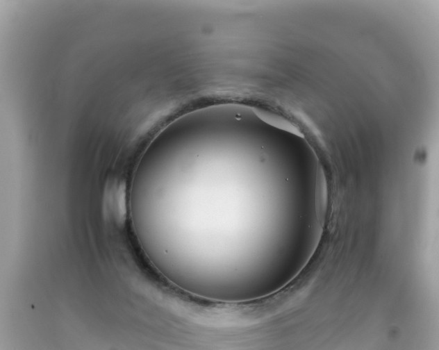 X0000092020020200709131607