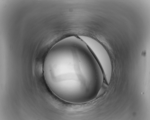 X0000092020021200709131607