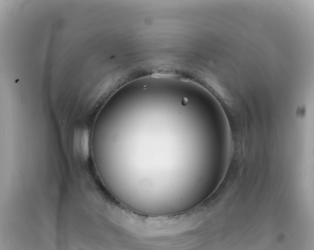 X0000092020022200709131607