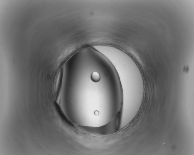 X0000092020023200709131607