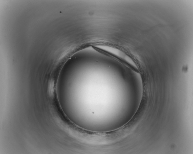 X0000092020024200709131607