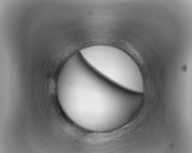 X0000092020025200709131607