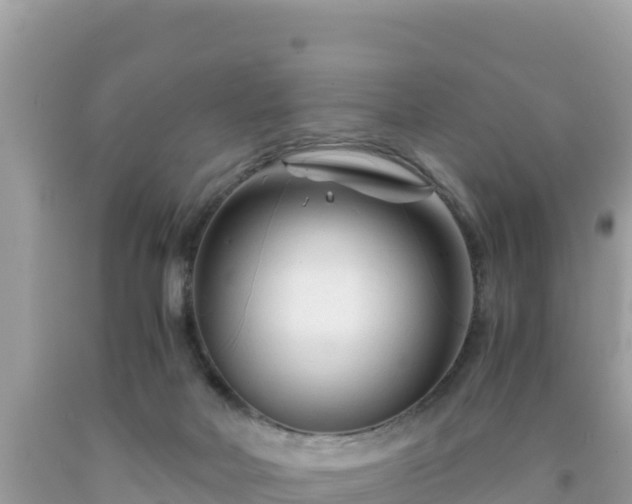 X0000092020026200709131607