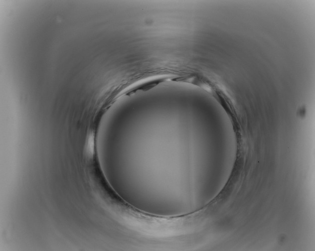 X0000092020027200709131607