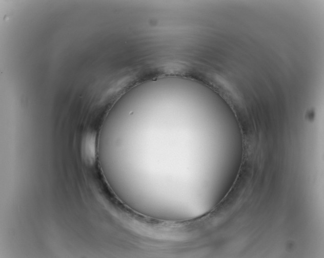 X0000092020028200709131607