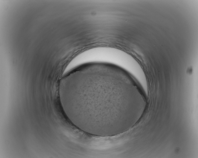 X0000092020029200709131607