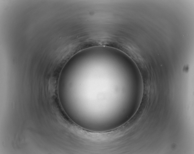 X0000092020030200709131607