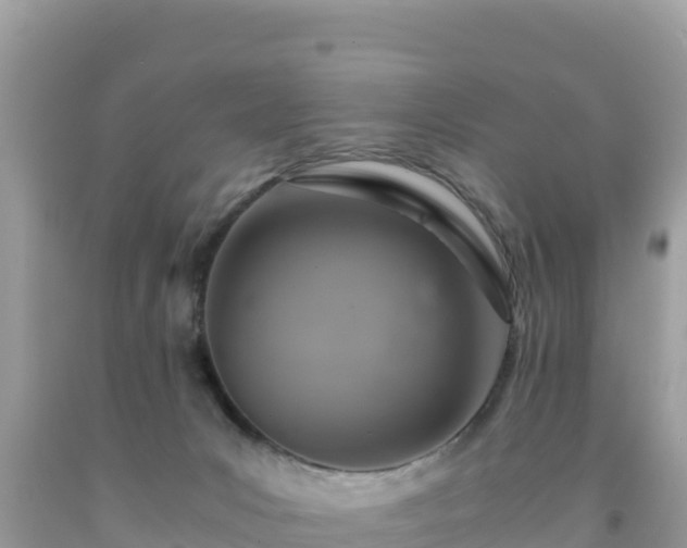 X0000092020031200709131607