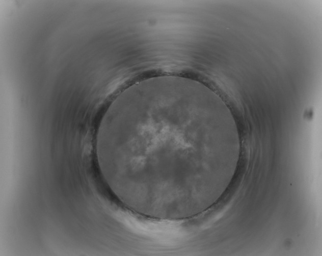 X0000092020032200709131607