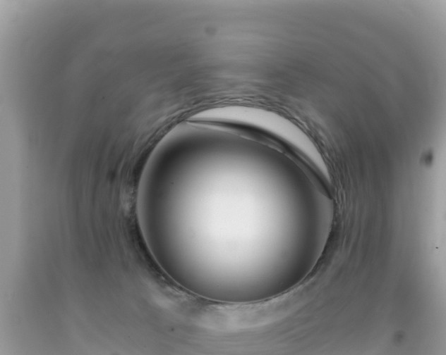 X0000092020033200709131607