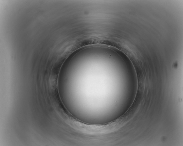 X0000092020034200709131607