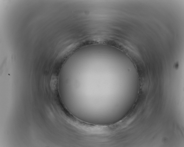 X0000092020036200709131607