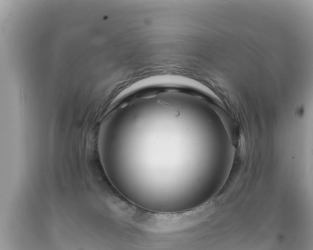 X0000092020037200709131607